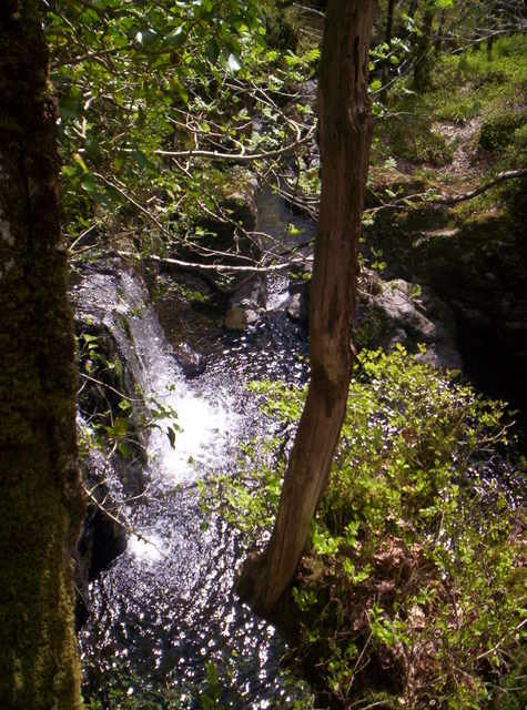 Wood of Cree Waterfall